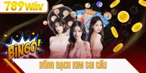 rong-bach-kim-soi-cau